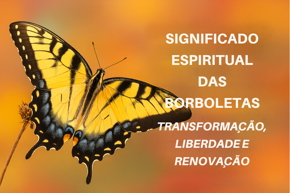 Significado Espiritual Das Borboletas
